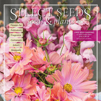 
    



Select Seeds Print Catalog
