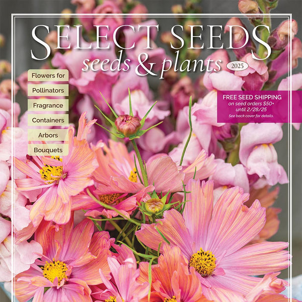 
    



Select Seeds Print Catalog
